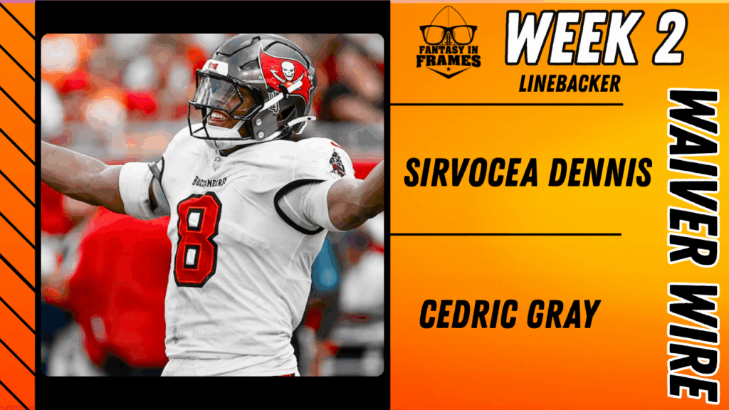 IDP Fantasy Football Waiver Wire: Week 2 (2025) | Linebackers